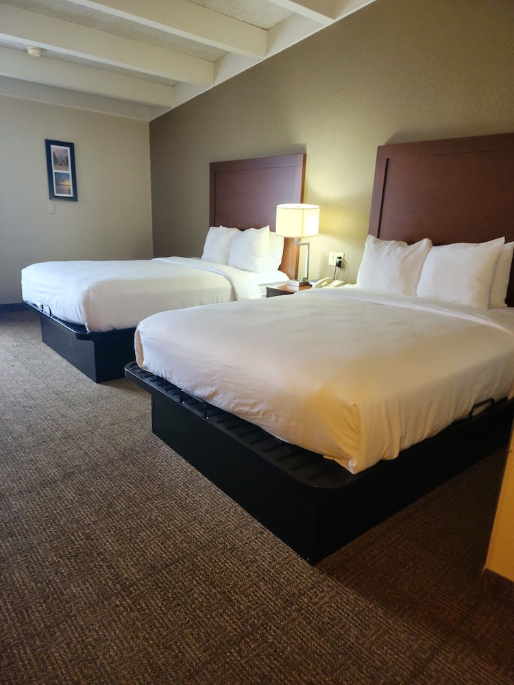 Standard Room, 2 Double Beds, Non Smoking - Photo 4