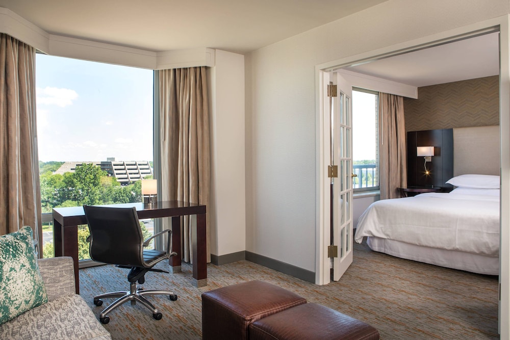 Club Suite, 1 Bedroom photo 3