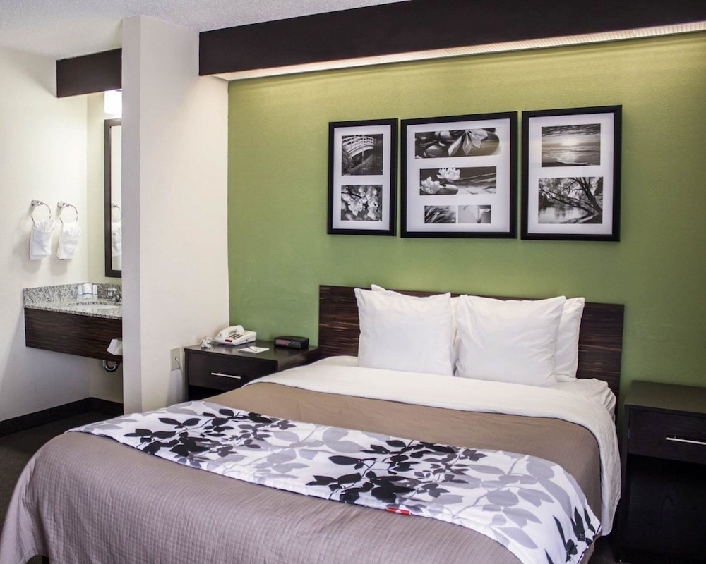 Room, 1 Queen Bed, Accessible, Non Smoking photo 3