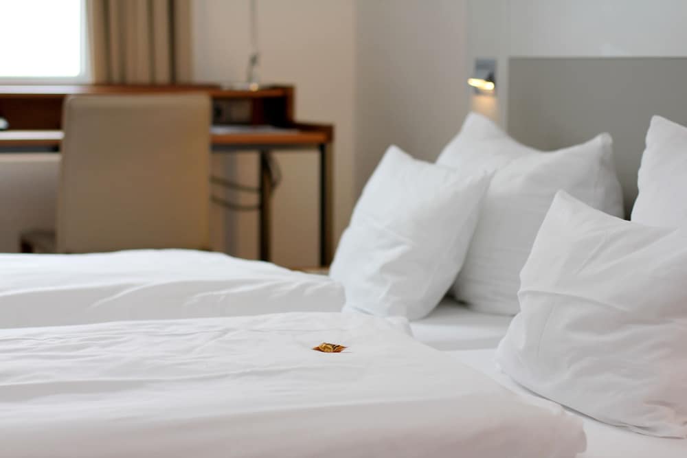 Standard Double Room - Photo 3