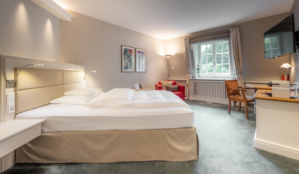 Premium Single Room, 1 Double Bed photo 3