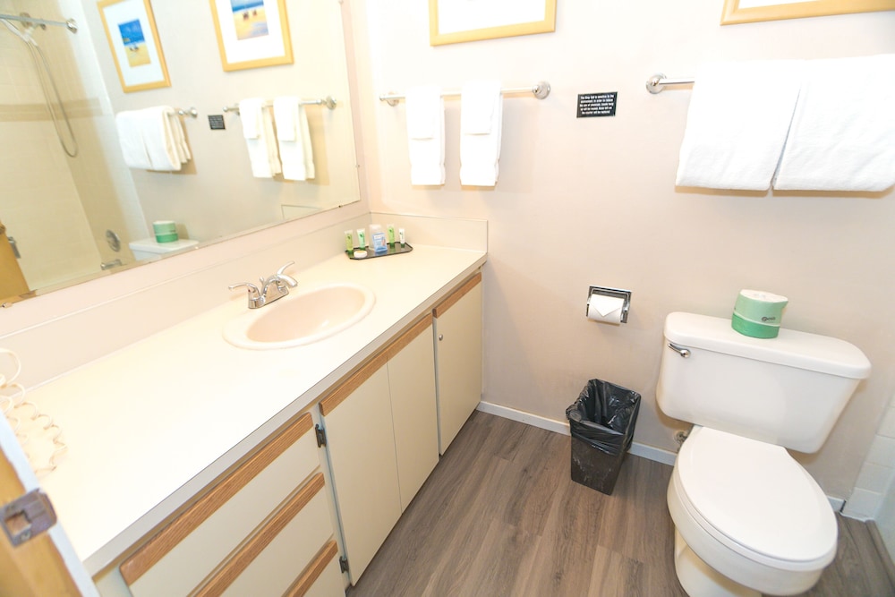 Standard Studio, 1 King Bed, Kitchenette, Pool View (Studio Unit- Room 202-No Pets) - Photo 11