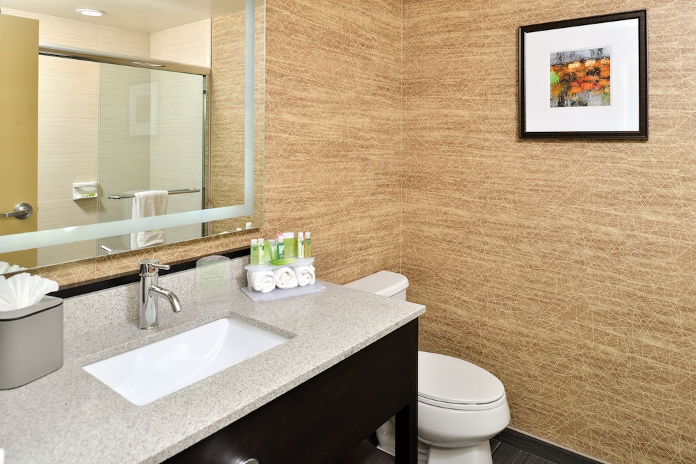 Standard Room, 1 King Bed, Jetted Tub photo 3
