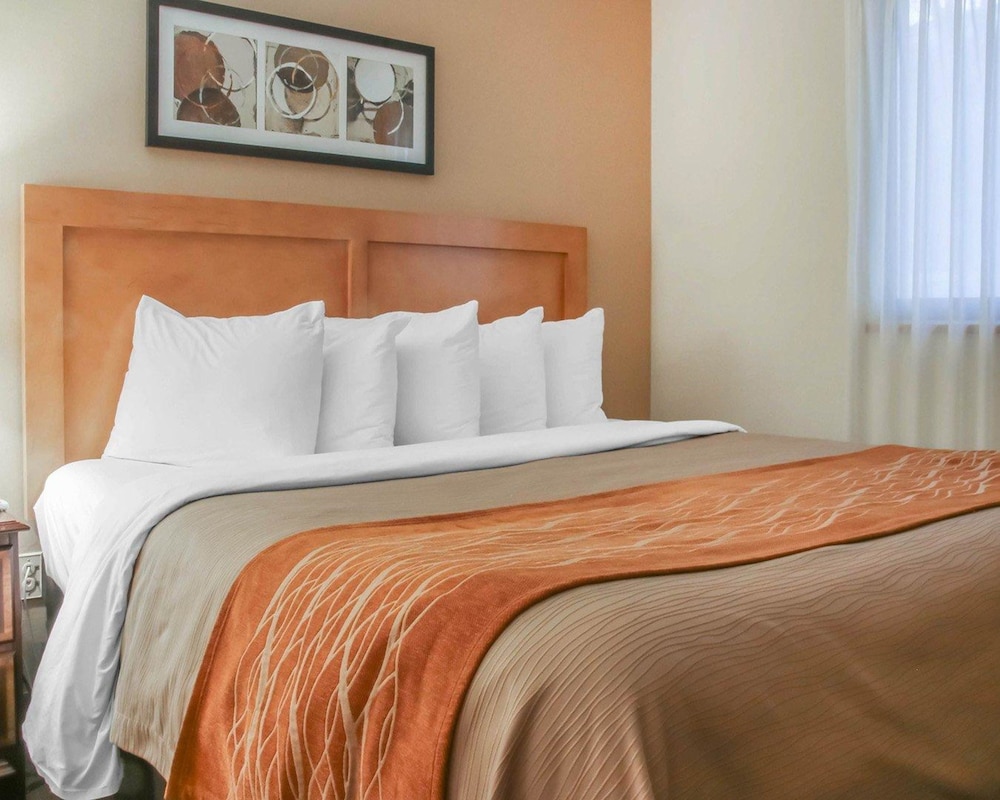 Suite, 1 King Bed, Non Smoking - Photo 4