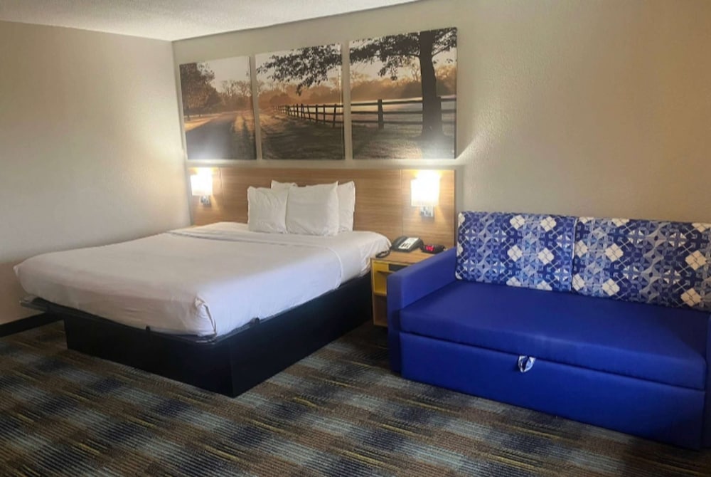 Room, 1 King Bed, Accessible - Photo 2