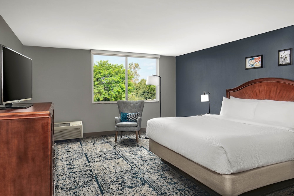 Deluxe Room, 1 King Bed photo 1