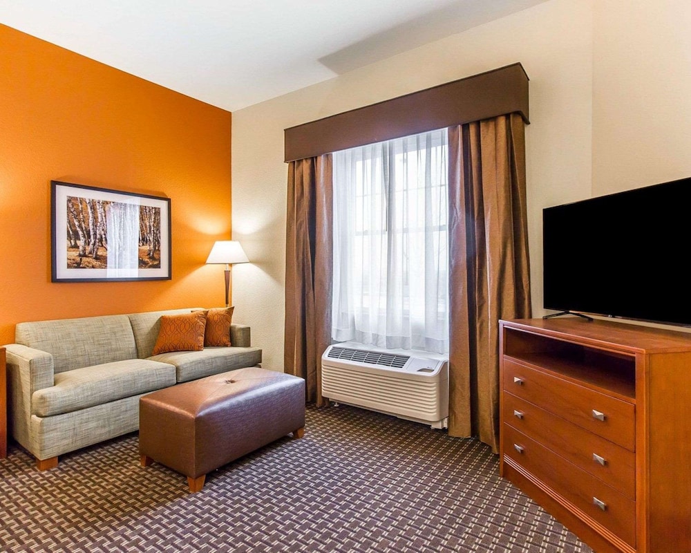 Efficiency, Suite, 1 King Bed with Sofa bed, Non Smoking photo 3