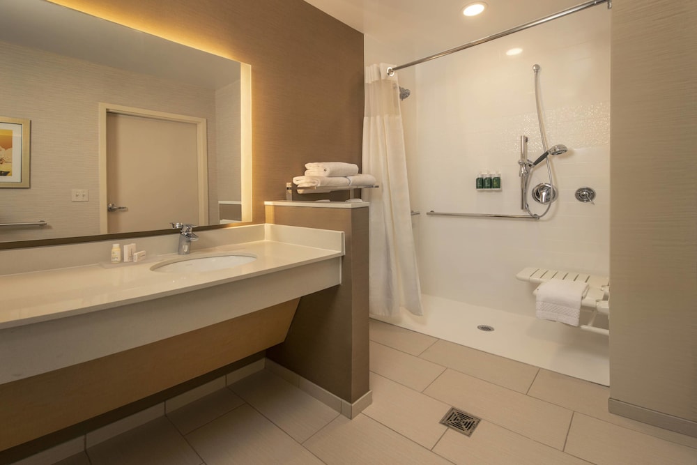 Room, 1 King Bed (Mobility Accessible, Roll-In Shower)