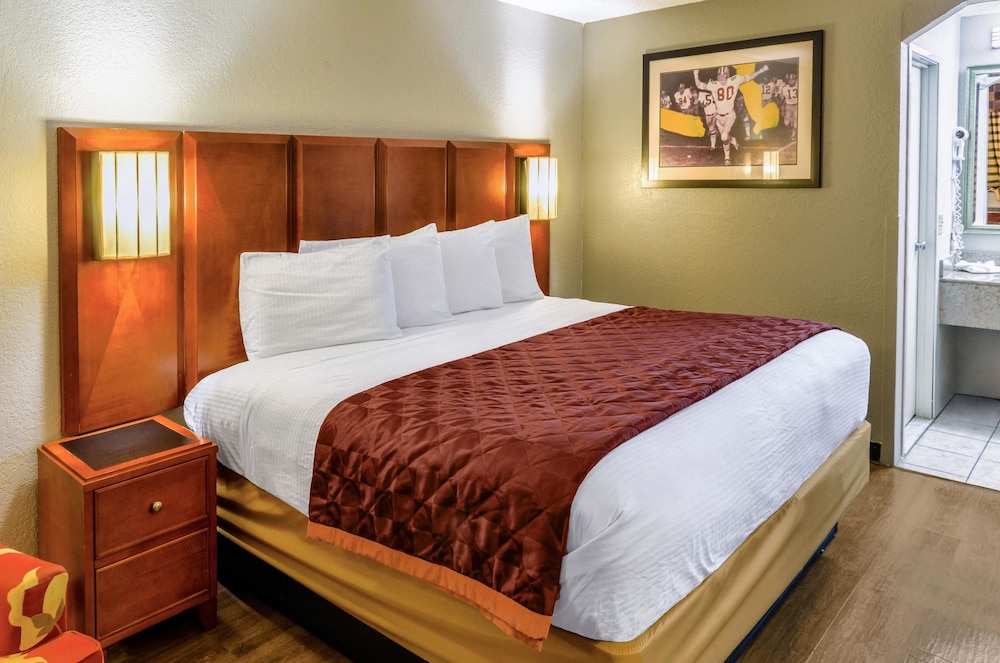 Room, 1 King Bed, Accessible, Non Smoking - Photo 1