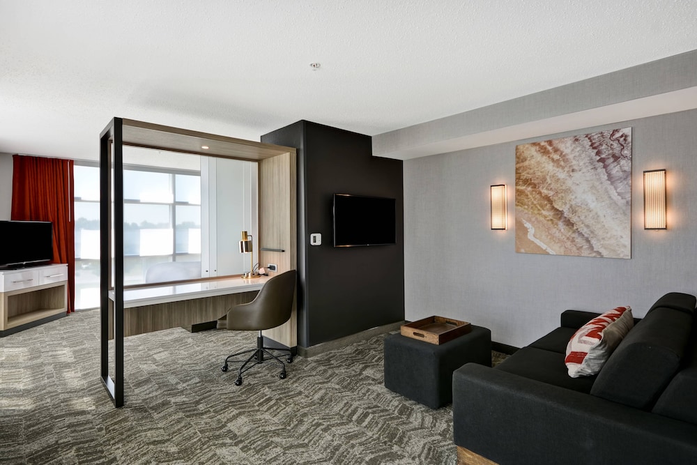 Suite, 1 King Bed with Sofa bed (Mobility Accessible, Roll-In Shower) - Photo 4