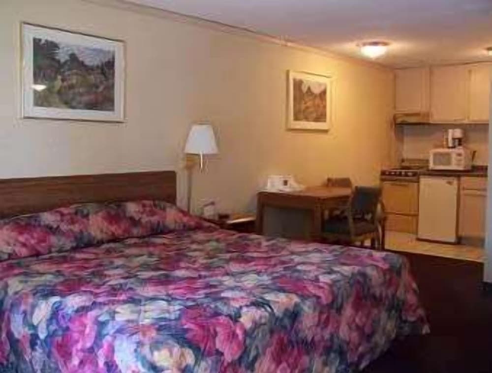 Room, 1 King Bed, Accessible photo 2