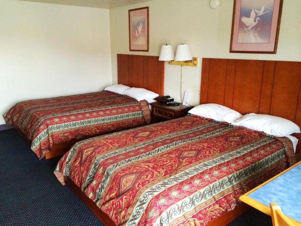 Basic Double or Twin Room