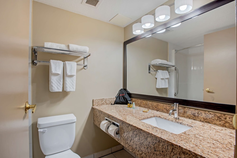 Suite, 1 King Bed, Non Smoking, Jetted Tub (with Sofabed) - Photo 6