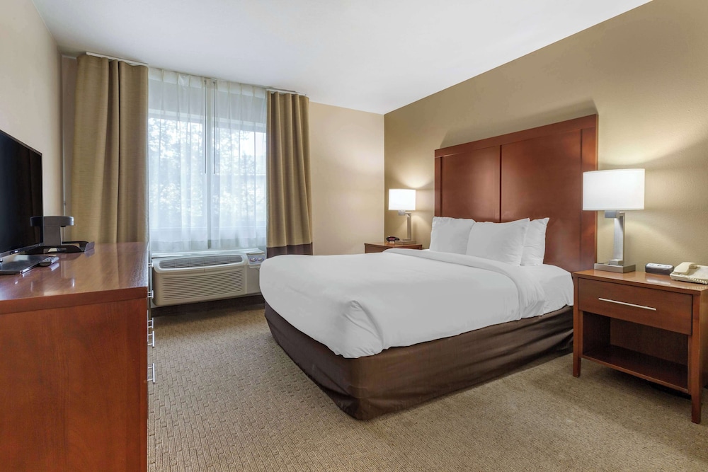 Suite, 1 Queen Bed with Sofa bed, Hearing Accessible, Non Smoking (Mobility, Roll-In Shower) - Photo 1