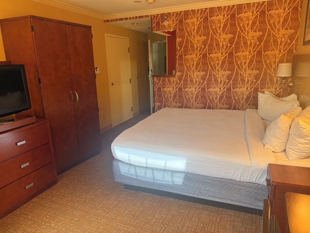 Deluxe Single Room photo 1
