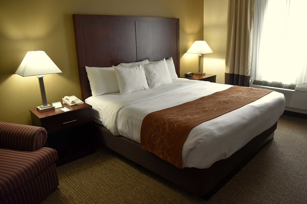 Suite, 1 King Bed, Non Smoking - Photo 8