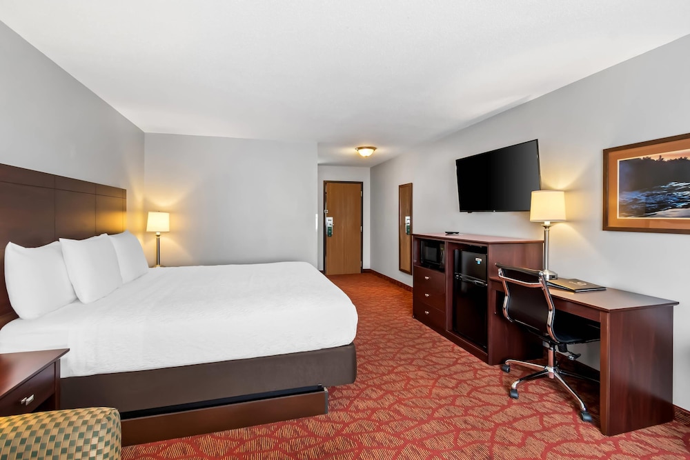 Suite, 1 King Bed with Sofa bed, Non Smoking photo 3