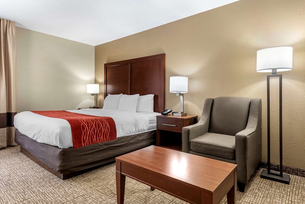 Basic Single Room, 1 King Bed, Non Smoking - Photo 2