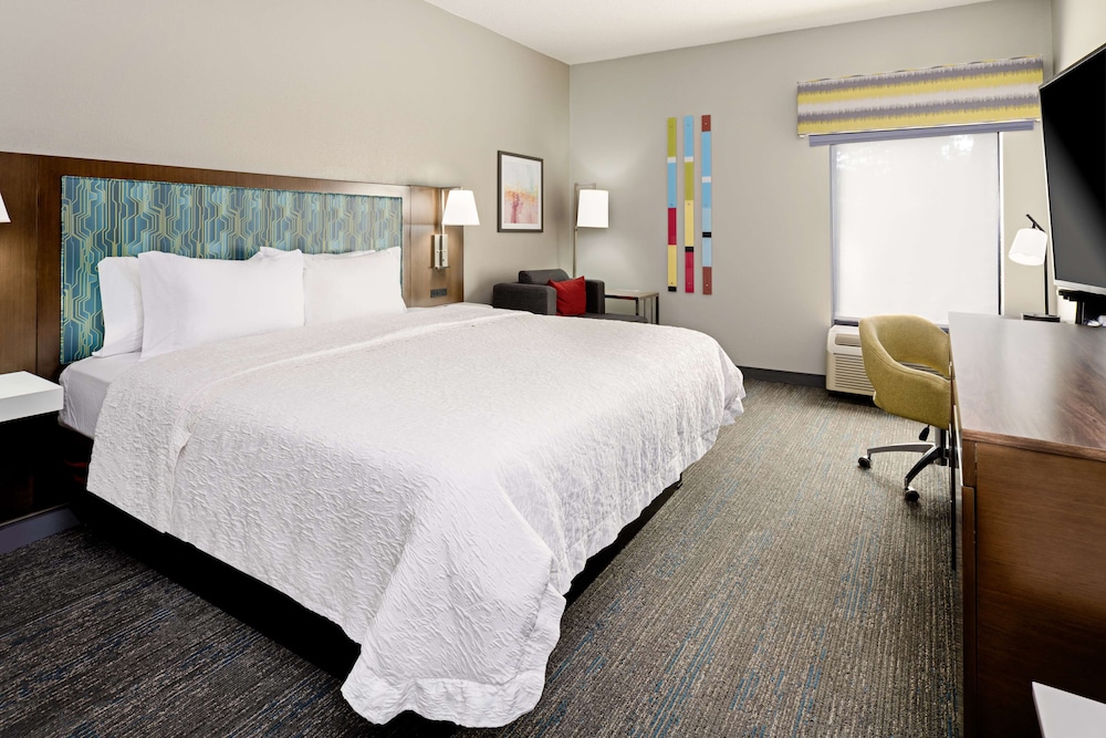 Standard Room, 1 King Bed, Accessible, Non Smoking (Roll In Shower)