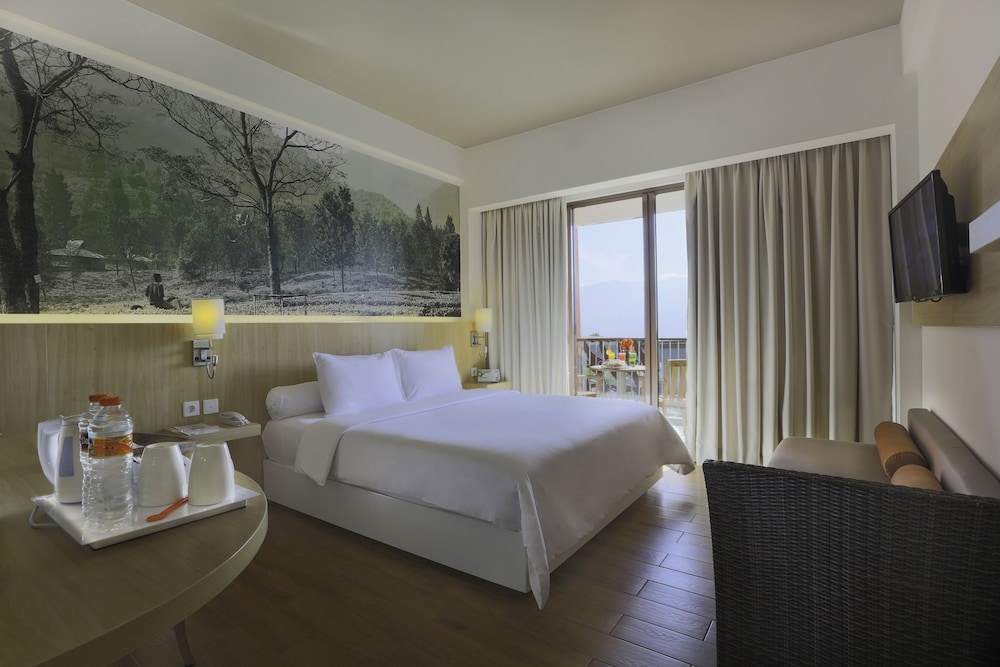 Superior Room photo 2