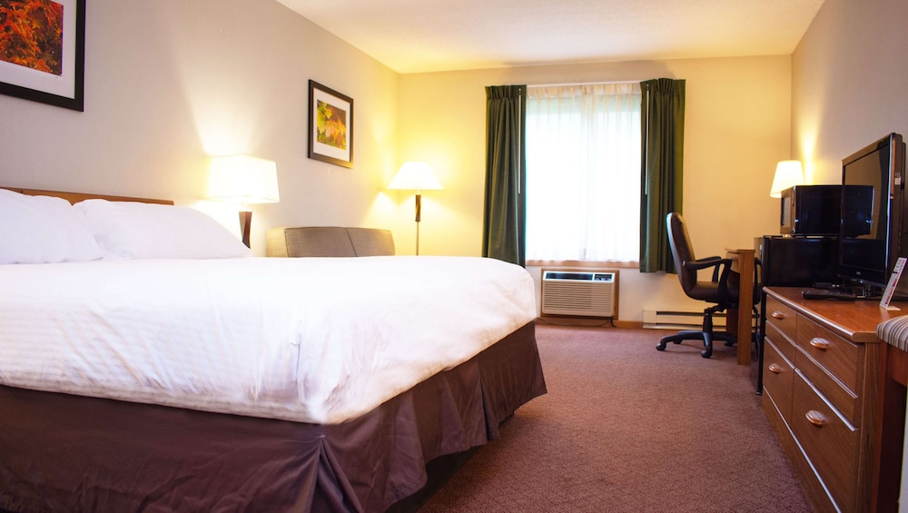 Standard Room, 1 Queen Bed, Accessible, Non Smoking (Pet-Friendly) photo 1