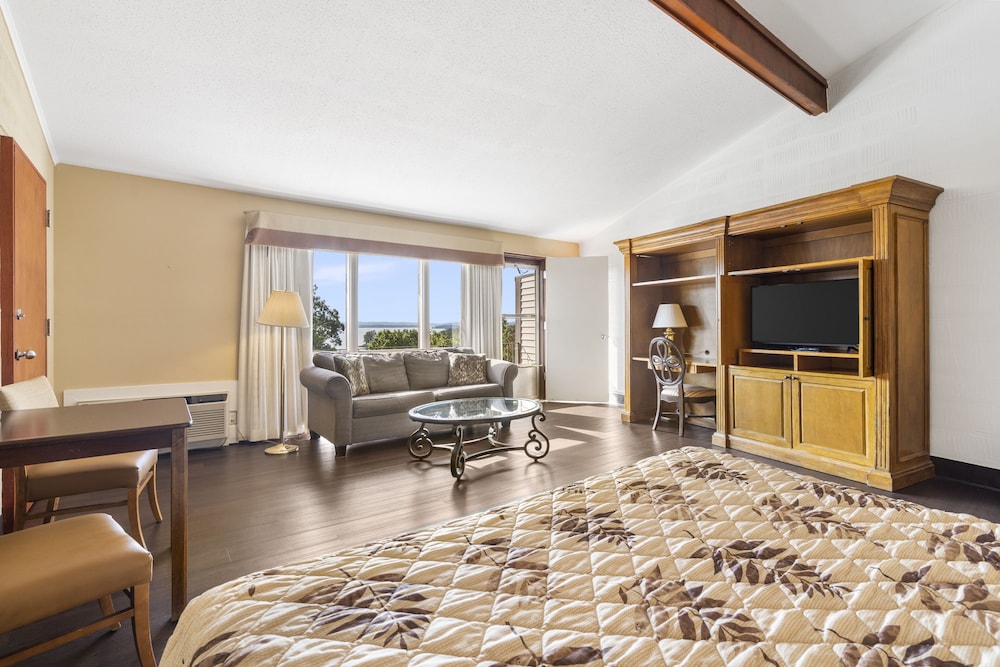 Standard Room, 1 King Bed with Sofa bed, Lake View photo 1