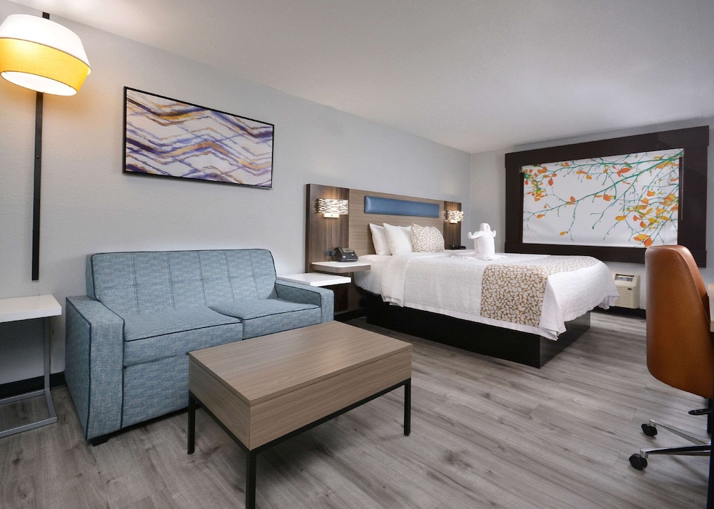 Luxury Single Room, 1 King Bed, Non Smoking