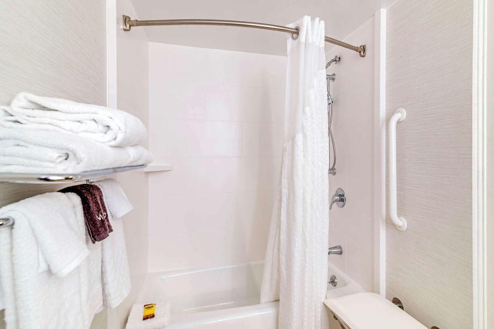 Suite, 1 King Bed, Accessible, Refrigerator & Microwave (with Sofabed) - Photo 4