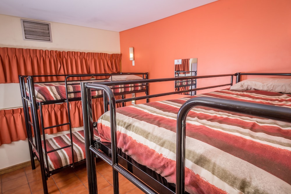 Bed in 8-Bed Female Dormitory with Shared Bathroom photo 1
