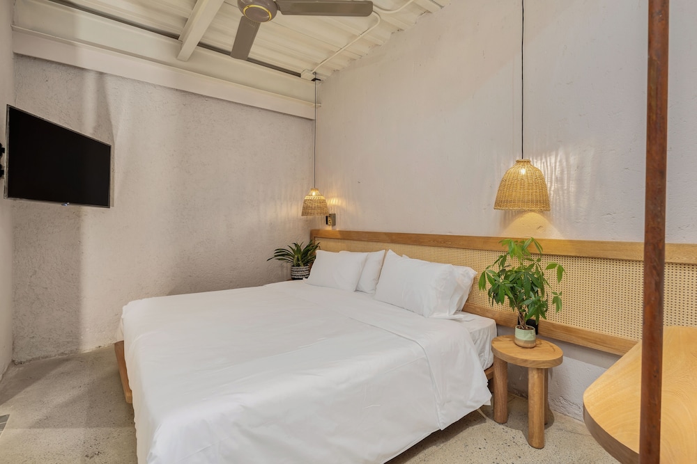 Standard Studio Suite (203)