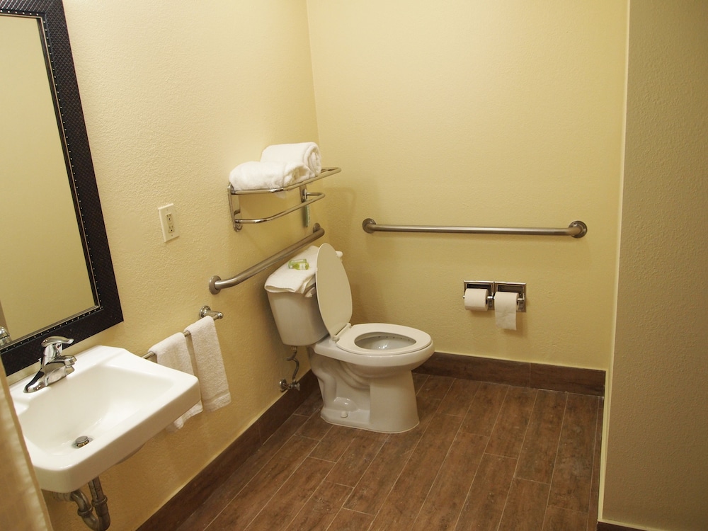 Standard Room, 1 King Bed, Accessible, Non Smoking - Photo 6