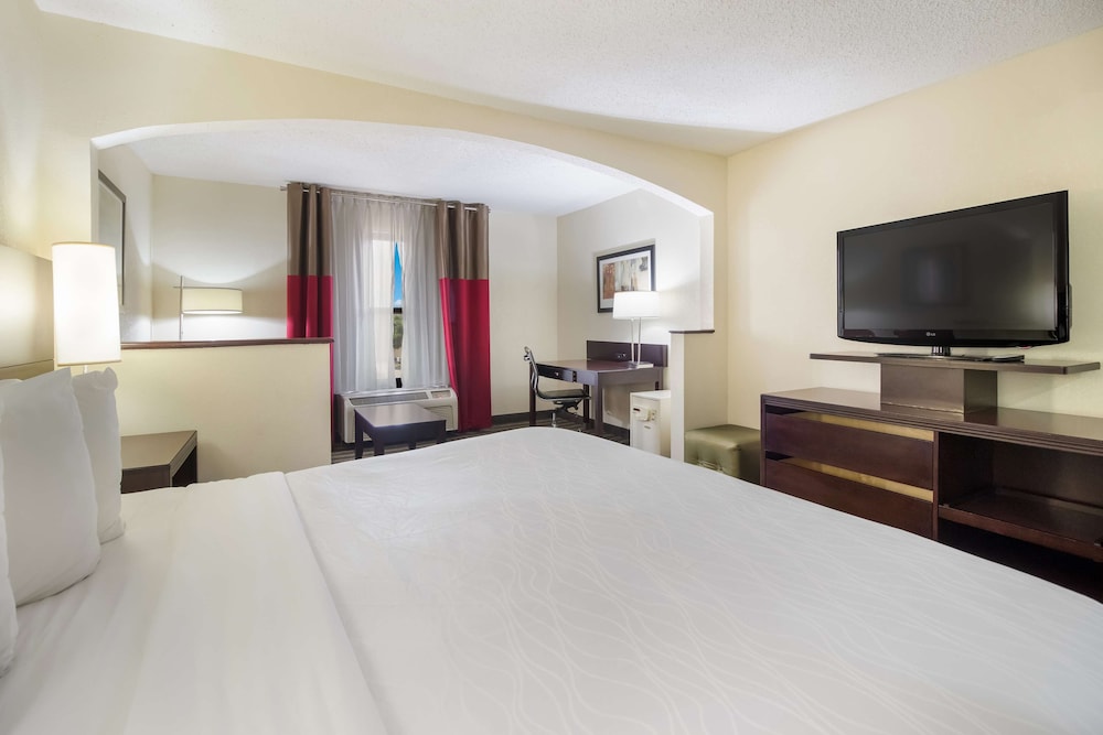 Standard Room, 1 King Bed, Accessible, Refrigerator & Microwave - Photo 3