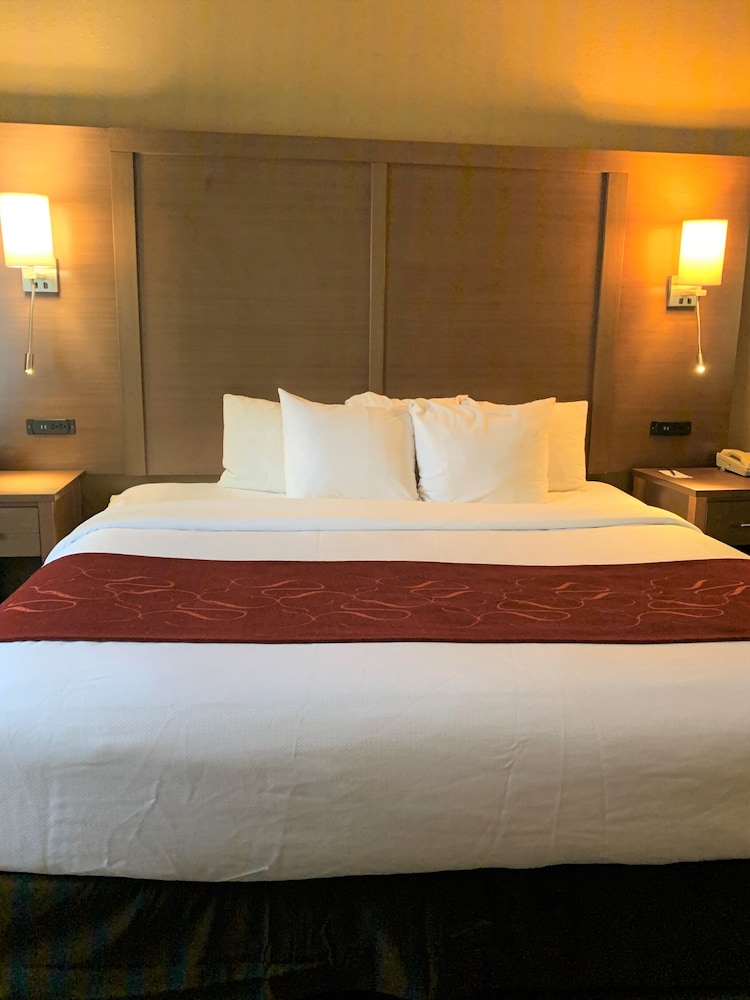 Suite, 1 King Bed, Accessible, Non Smoking (Efficiency) - Photo 2