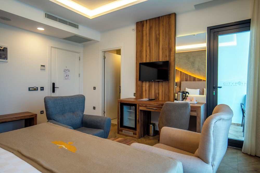 Standard Room, Black, without Balcony photo 3