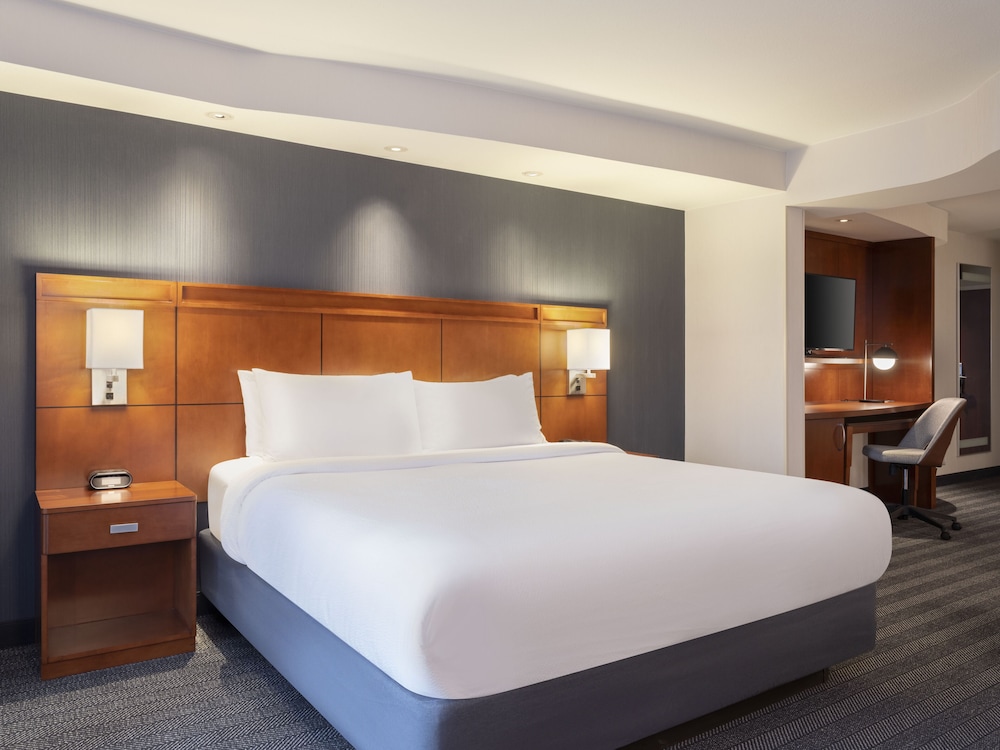 Room, 1 King Bed (Mobility/Hearing Access, Roll-In Shwr)