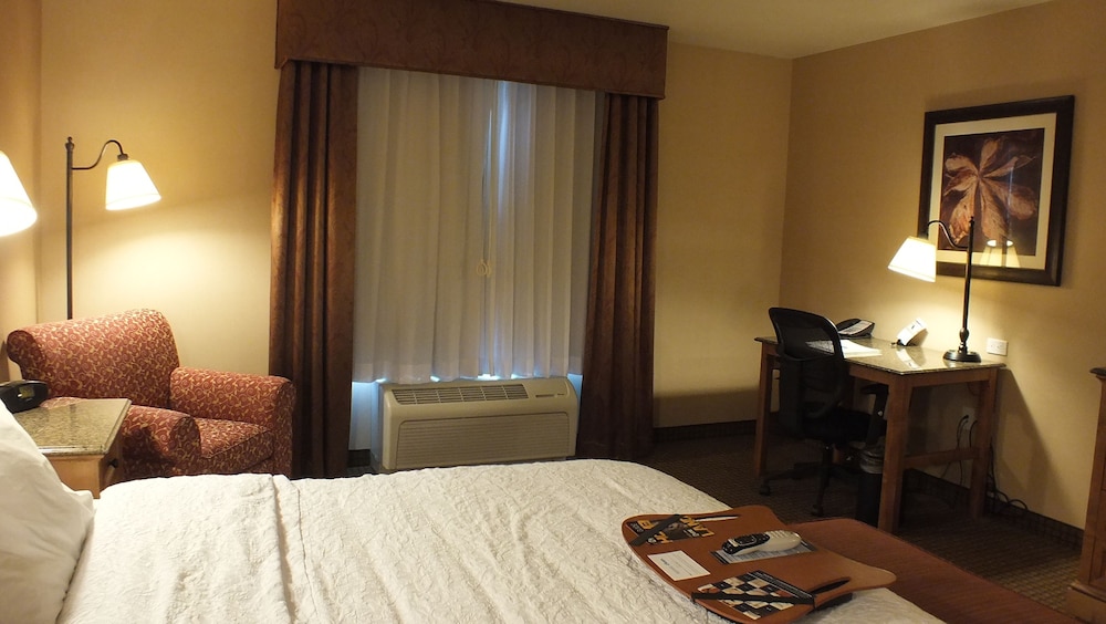 Room, 1 King Bed, Accessible - Photo 9
