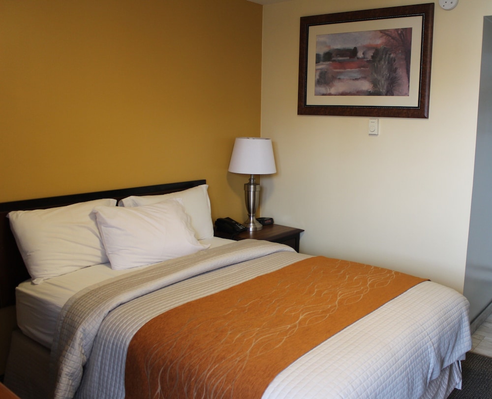 Room with Queen Bed Non Smoking Double Occupancy photo 1