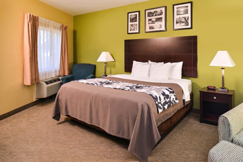 Suite, 1 King Bed, Non Smoking - Photo 4