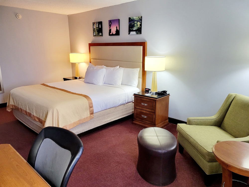Dog Friendly Deluxe King Room photo 1