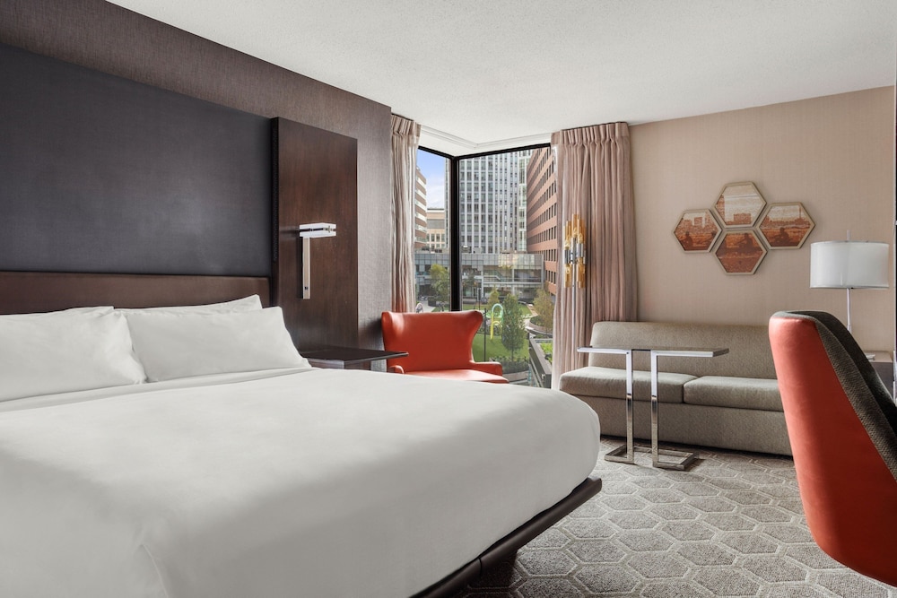 Executive Suite, 1 King Bed with Sofa bed