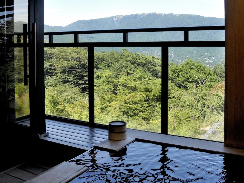 Twin Room w/ Private Onsen (2F, no kids under 12yrs) Halfboard (BF & Dinner), Check-in 3pm-6pm photo 2