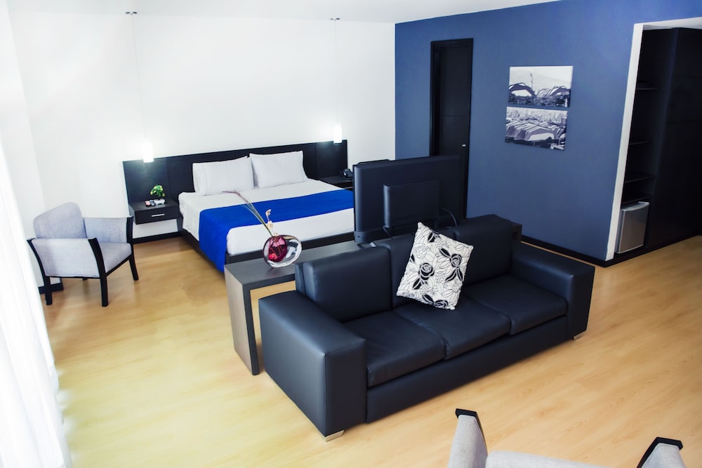 Junior Studio Suite, 1 King Bed photo 3