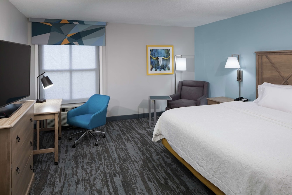 Room, 1 King Bed, Accessible (Roll-In Shower) - Photo 2
