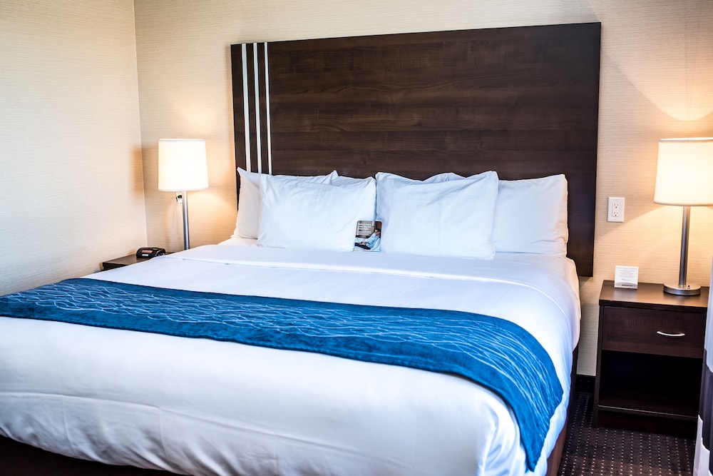 Suite, 1 King Bed With Sofa Bed, Non Smoking photo 2