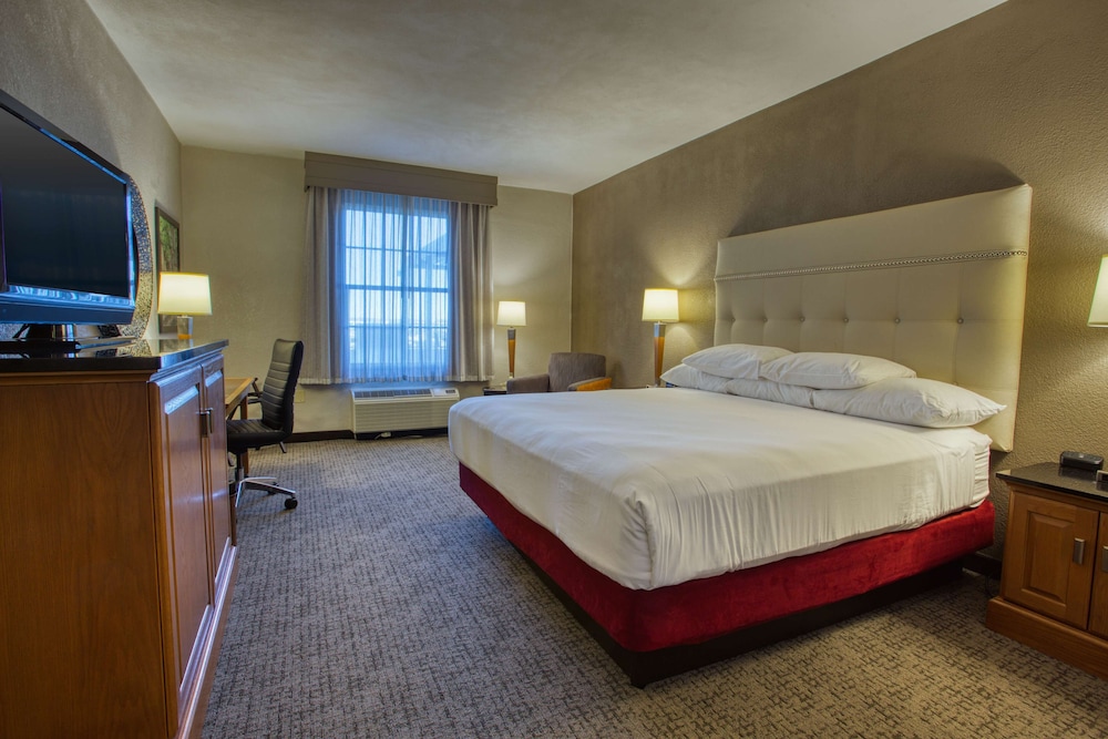 Deluxe Room, 1 King Bed, Refrigerator & Microwave - Photo 1