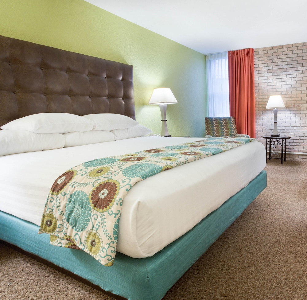 Suite, 1 Bedroom photo 2