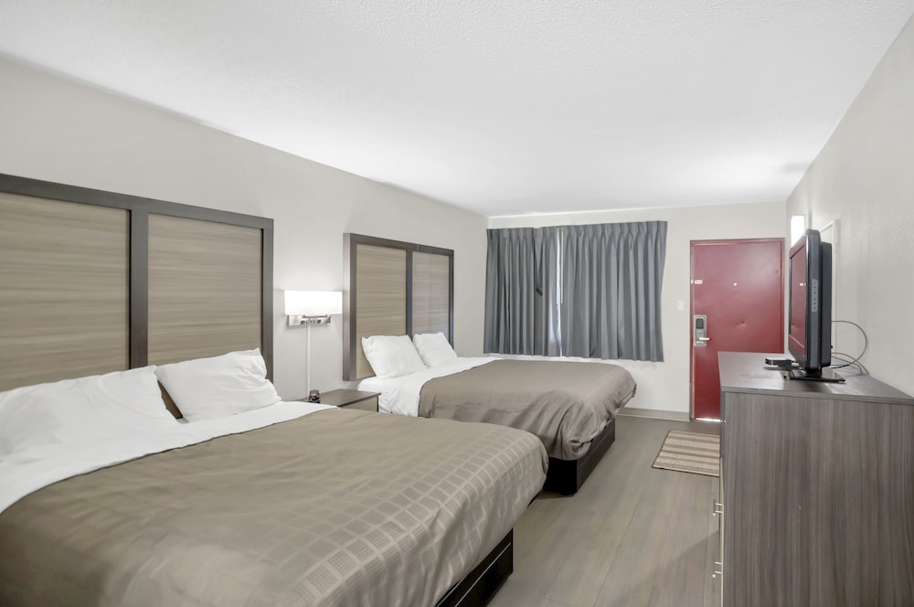 Comfort Single Room