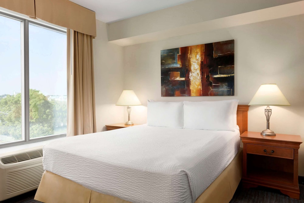 Suite, 1 Bedroom (1 King Bed with Sofa Bed) photo 1