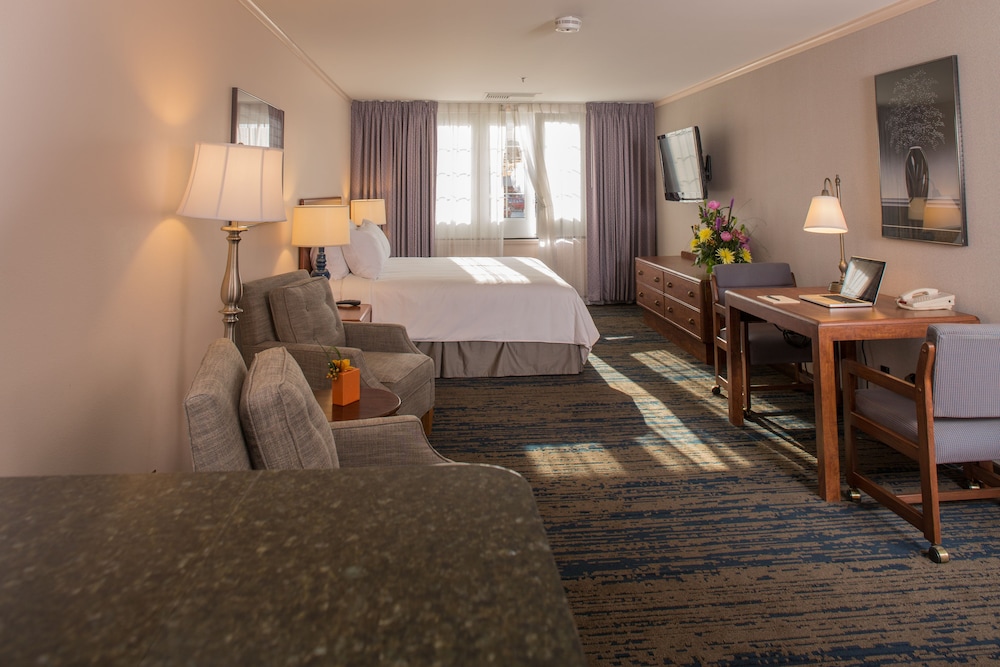 Deluxe Room, 1 King Bed photo 2
