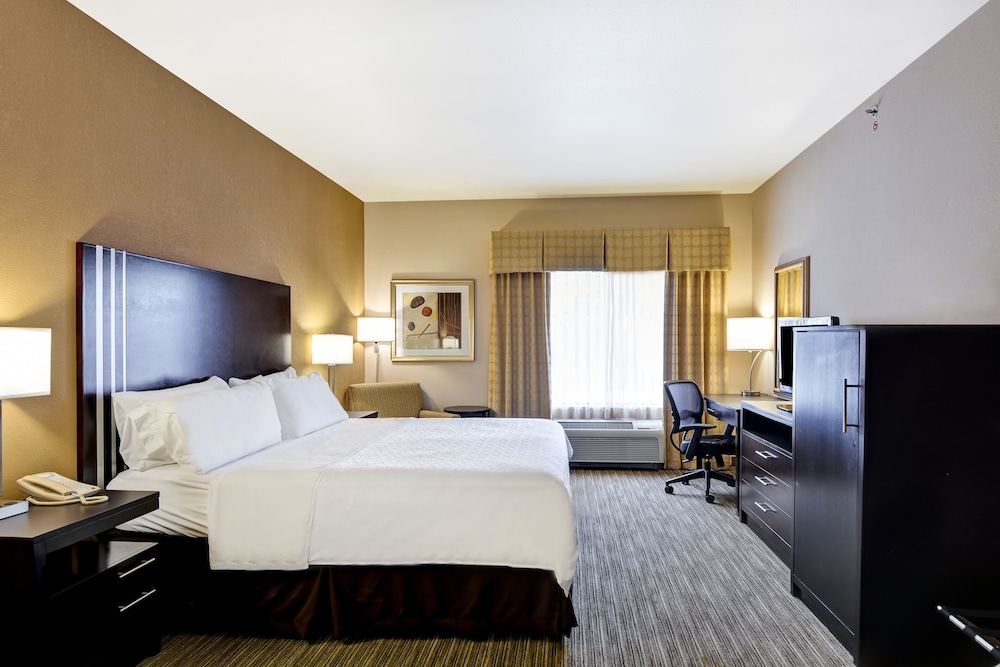 Suite, 1 King Bed with Sofa bed, Accessible - Photo 1